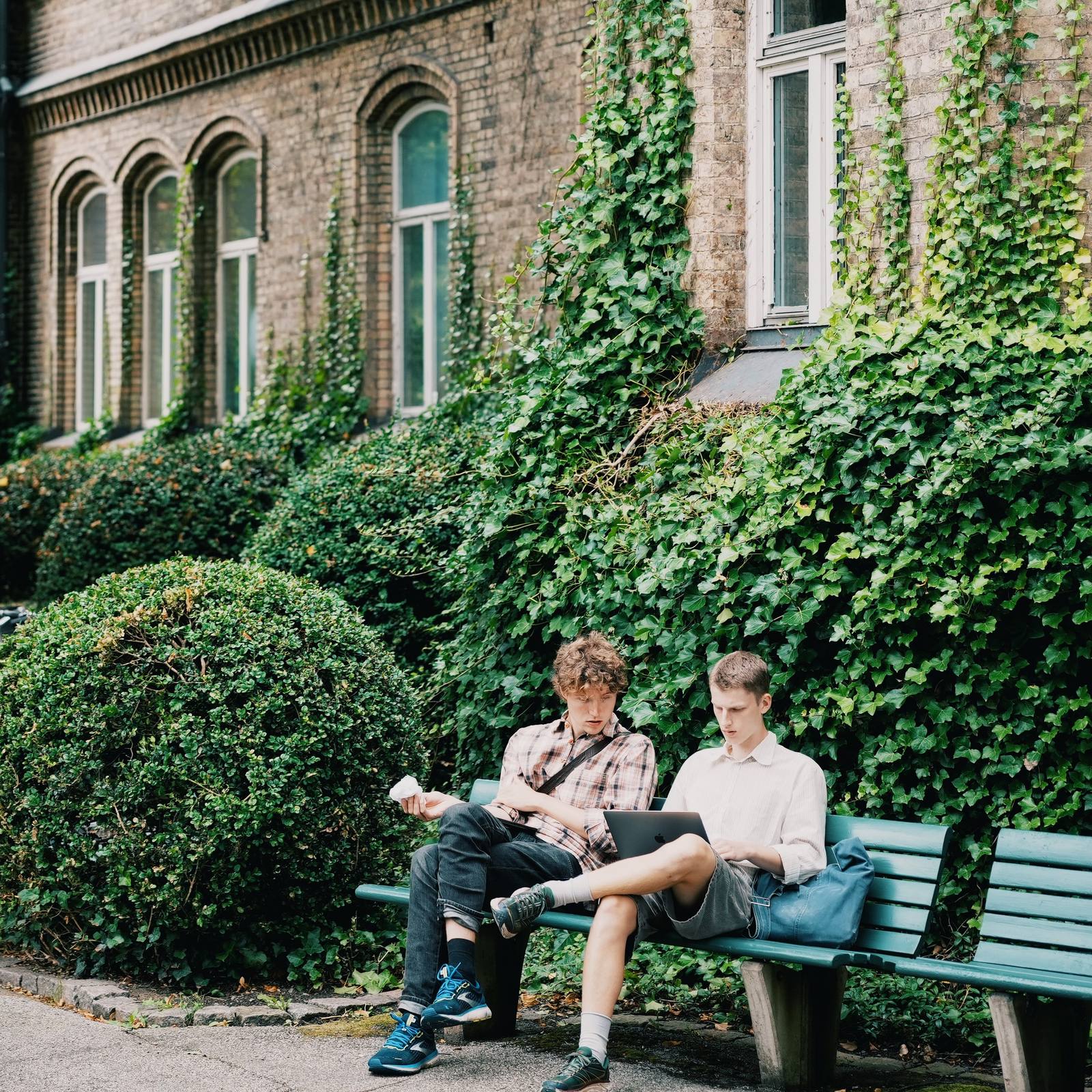 Photo 18